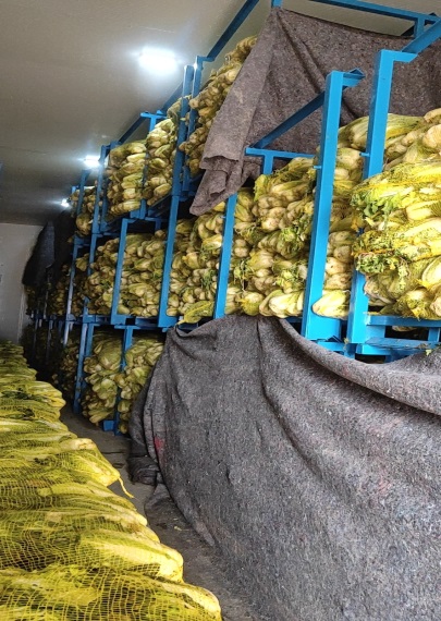 1611557923842092.jpg 1611557923842092.jpg