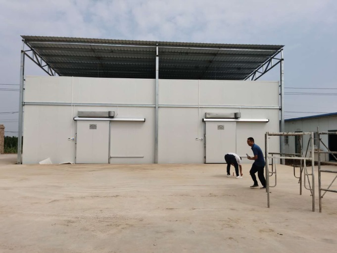 1611557967212374.jpg 1611557967212374.jpg