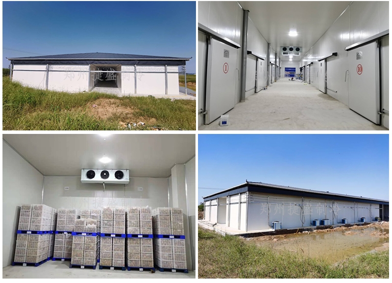 哪里可以找到环保节能型的冷库设备